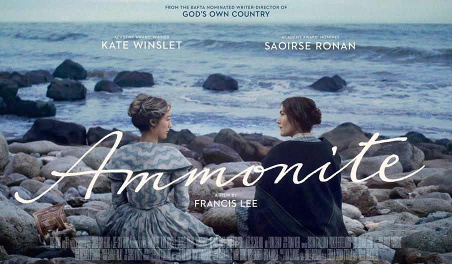 Ammonite