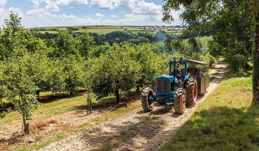Healeys Cornish Cyder Farm Cider Farm in Truro, Truro Looe