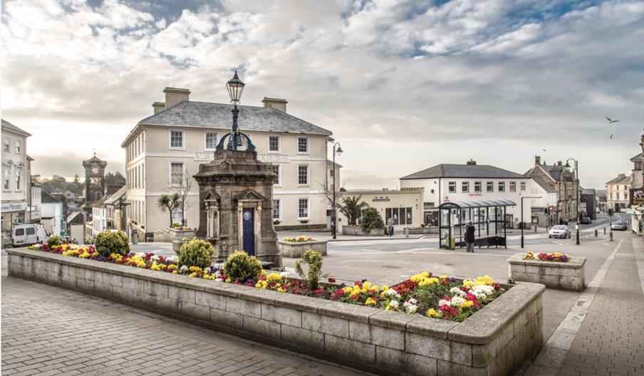 Liskeard Town in Liskeard Looe