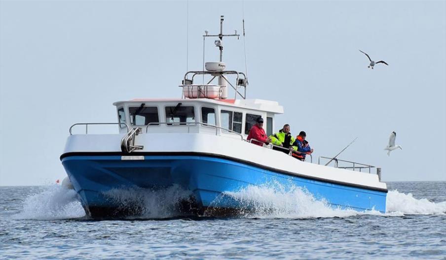 Shark fishing, Sowenna Fishing Looe