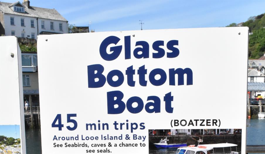 Glass Bottom Boat Boat Trip in East Looe, Looe Looe