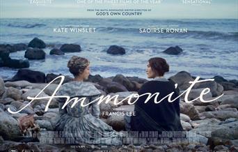 Ammonite
