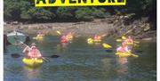 Kayak safari with Fowey River Hire