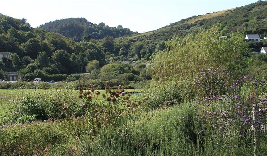 Seaton Valley Countryside Park