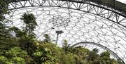 Inside a dome at the Eden Project