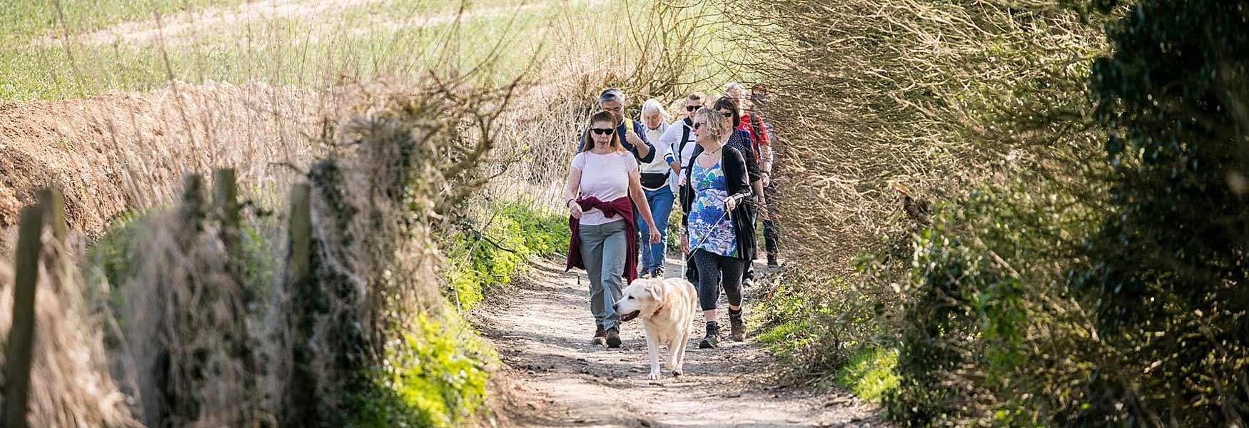 Walkers with a dog on the North Downs Way