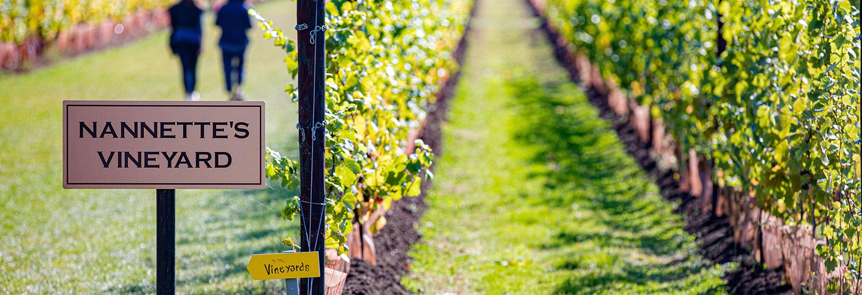 Wine Garden of England