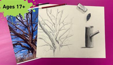 Ages 17 + in the top left-hand corner. main image photograph of a tree and a pencil sketch of the tree to the right. 