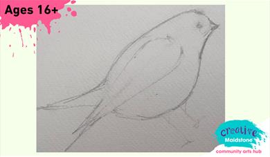 A drawing of a bird on a plain background