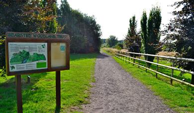 Bearsted Woodland Trust