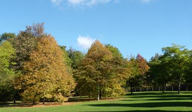 View of Cobtree Manor Park 