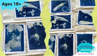 Selection of cyanotype images on a yellow background
