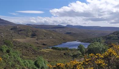 A landscape scene of the Scottish Highlands. Gorse bushes in the foreground, hills in the background and a loch in the centre