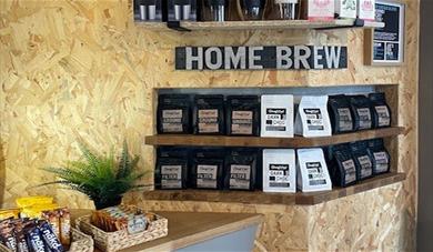 Deaf Cat in store picture