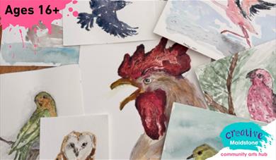 A selection of hand drawn and watercoloured birds