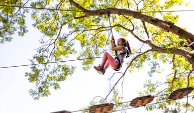 Girl on a zip wire.