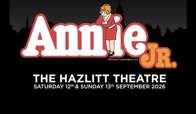 Poster of Annie JR
