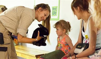 Child looking at a rabbit