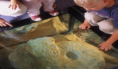 Children looking at a fossil 