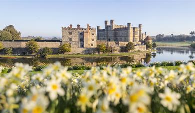leeds castle spring