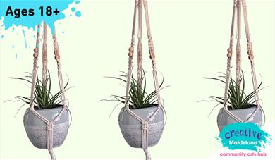 Grey plant pot with a spider plant in a handmade macrame hanger