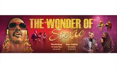 The Wonder of Stevie