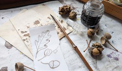 An artist's desk with leaf and acorn sketching, a brush, acorns and a jar of oak gall ink