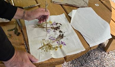 Weekend Wellness: Mindful Walk and Hapa Zome at Tyland Barn