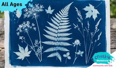 Cyanotype print