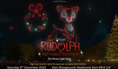 Image shows Rudolph in lights 