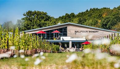 Balfour Winery exterior and vineyard