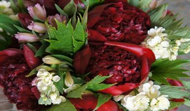 Peonies