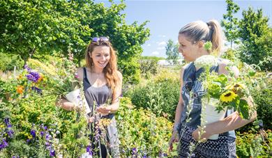 In the flower field, two ladies picking flowers