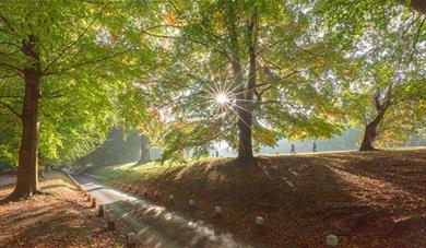 Mote Park in Autumn