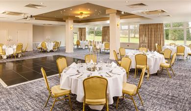 Great Danes meeting room