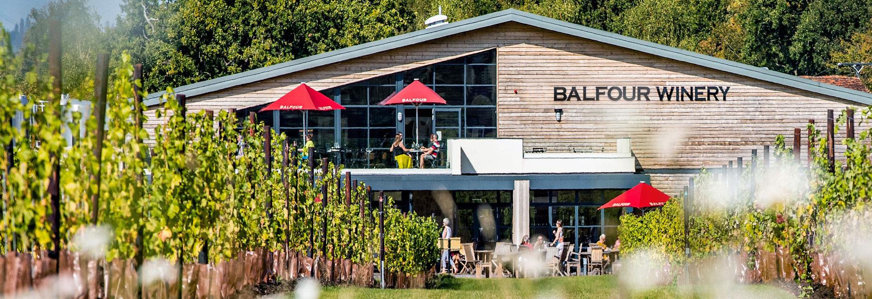 Balfour Winery set in a beautiful Kentish Valley, full of wild flowers and glorious wines to taste. Sit on the deck and enjoy, go on the tutored tasting or simply walk around the estate.