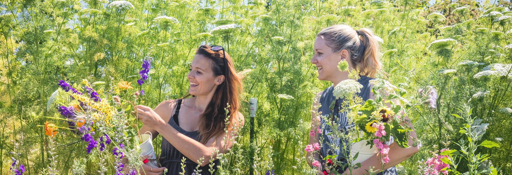 Blooming Green, summer flower picking