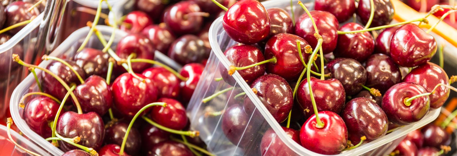 Cherries at the Farm Gate