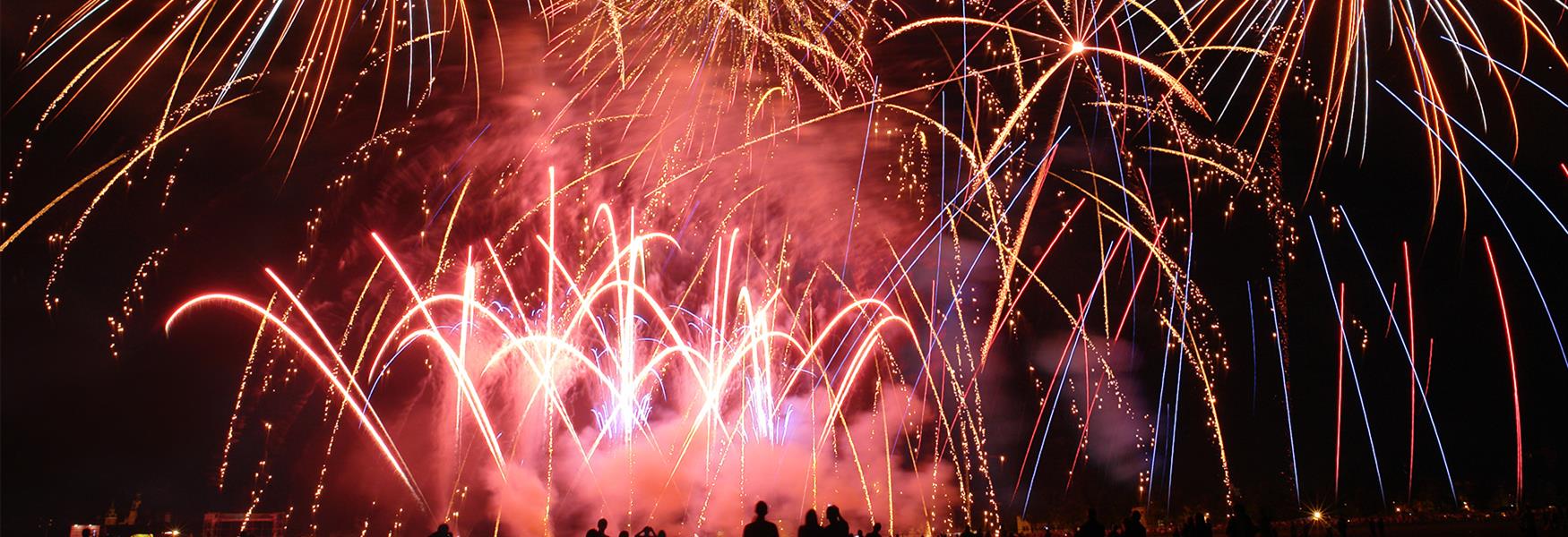Firework Night