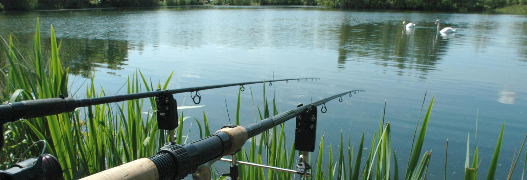 Fishing in and around Maidstone in Kent