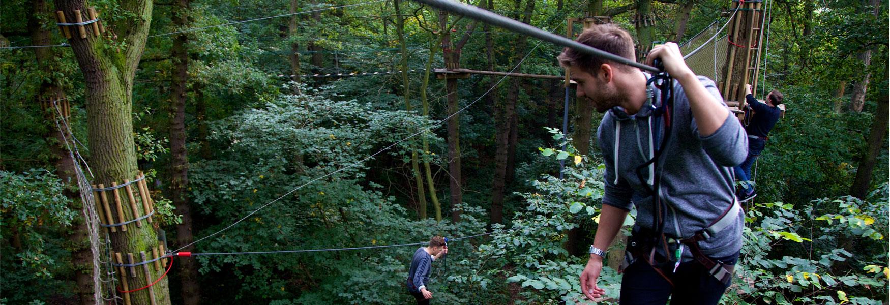 High ropes at Go Ape