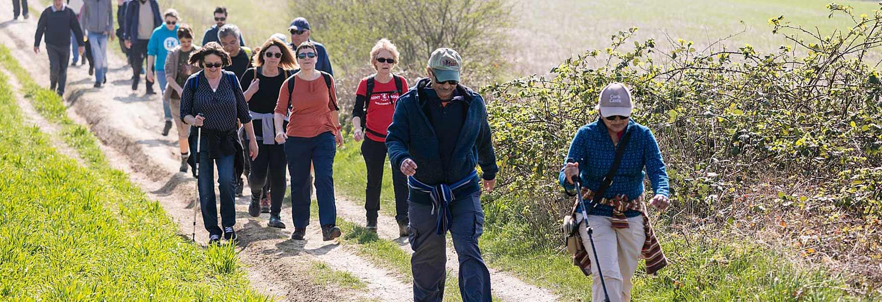 A large group of Festival walkers on a trail
