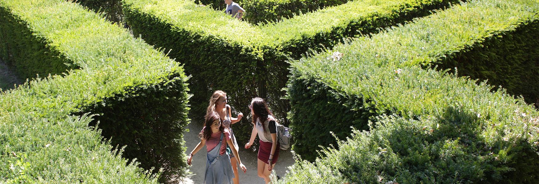 Get lost in Leeds Castle's Maze