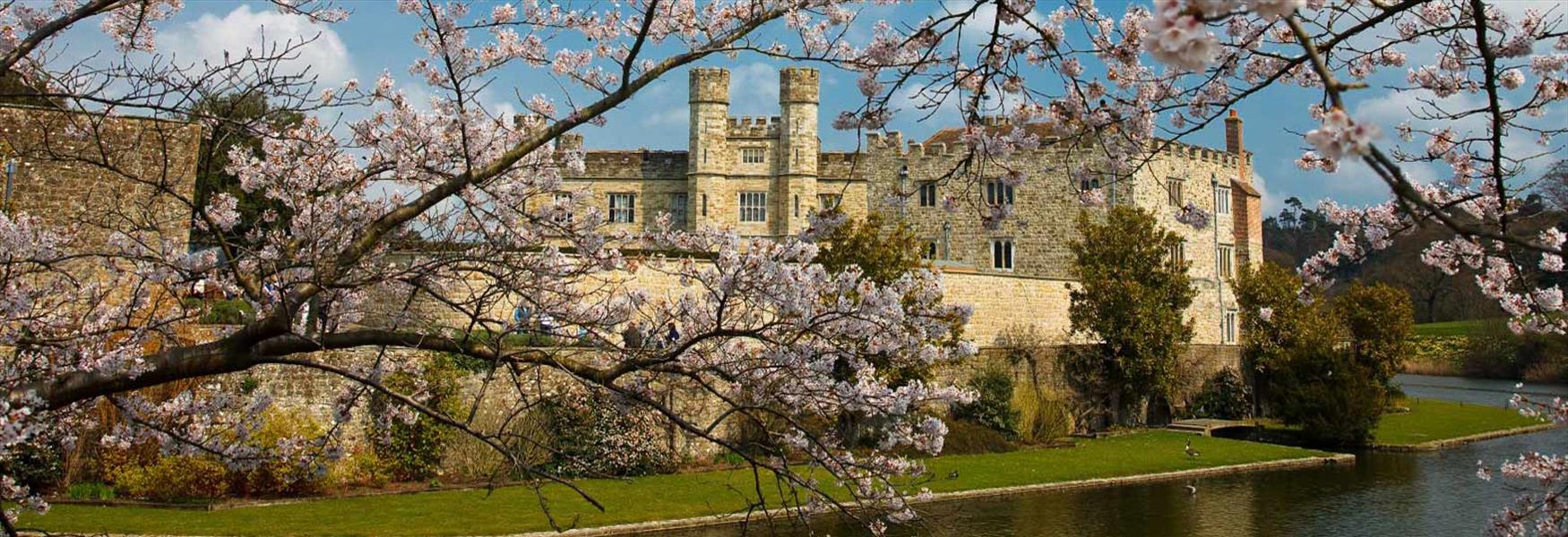 View of Leeds Castle through the Blossom