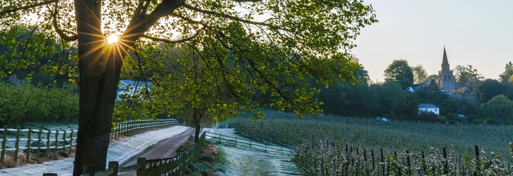 Early morning in Linton, near Maidstone, Kent