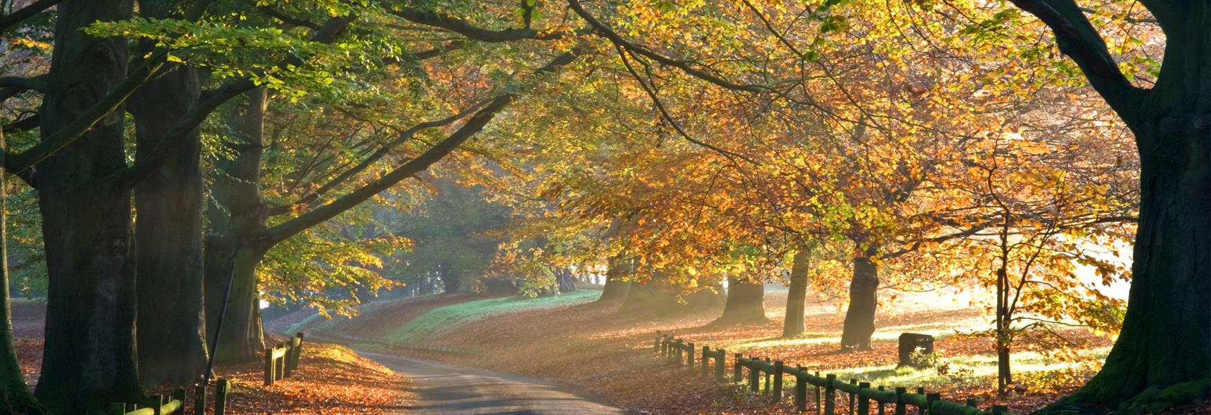 Mote Park in Autumn