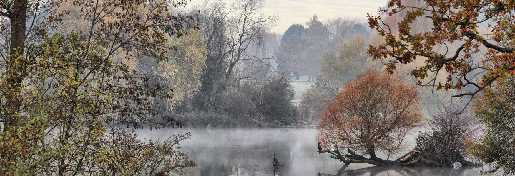 Mote Park brings some amazing photo opportunities in all seasons but winter can add a little more drama in an ever changing but much loved landscape.