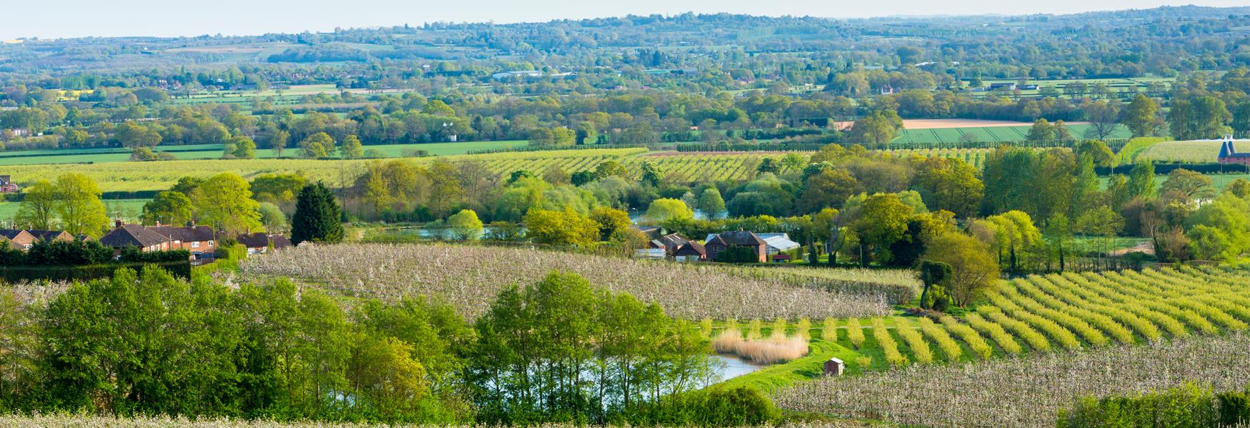 Panoramic views over countryside in Linton