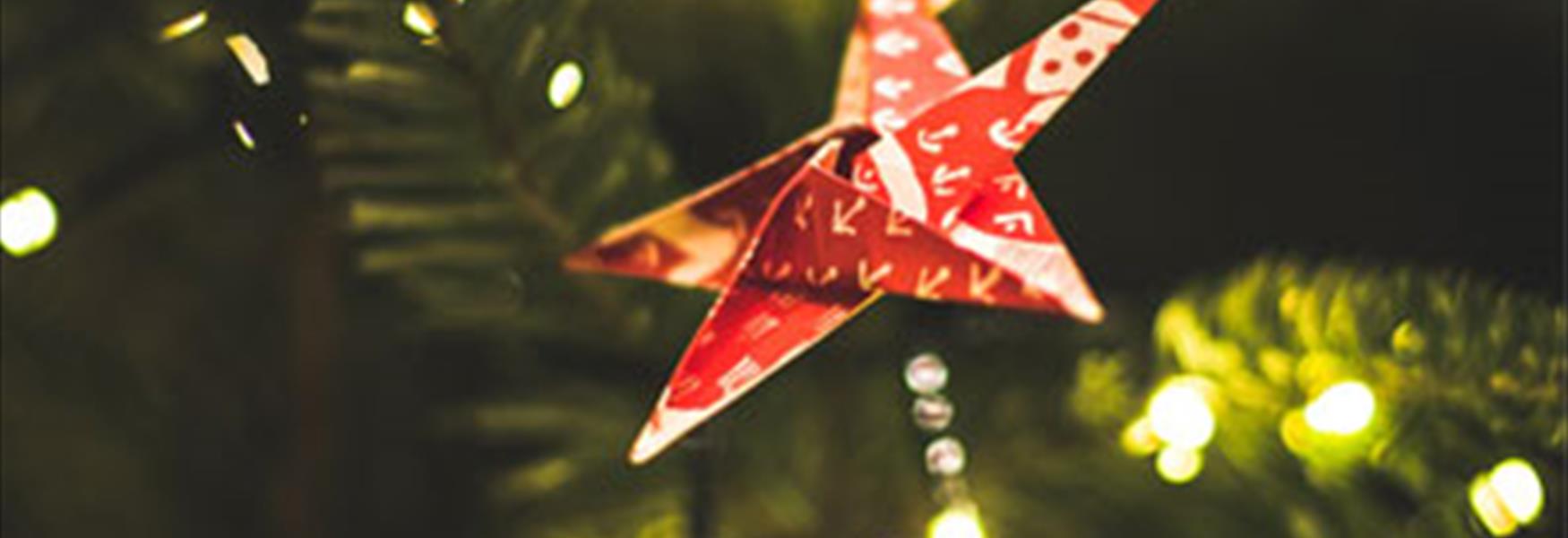 Christmas Star on a tree