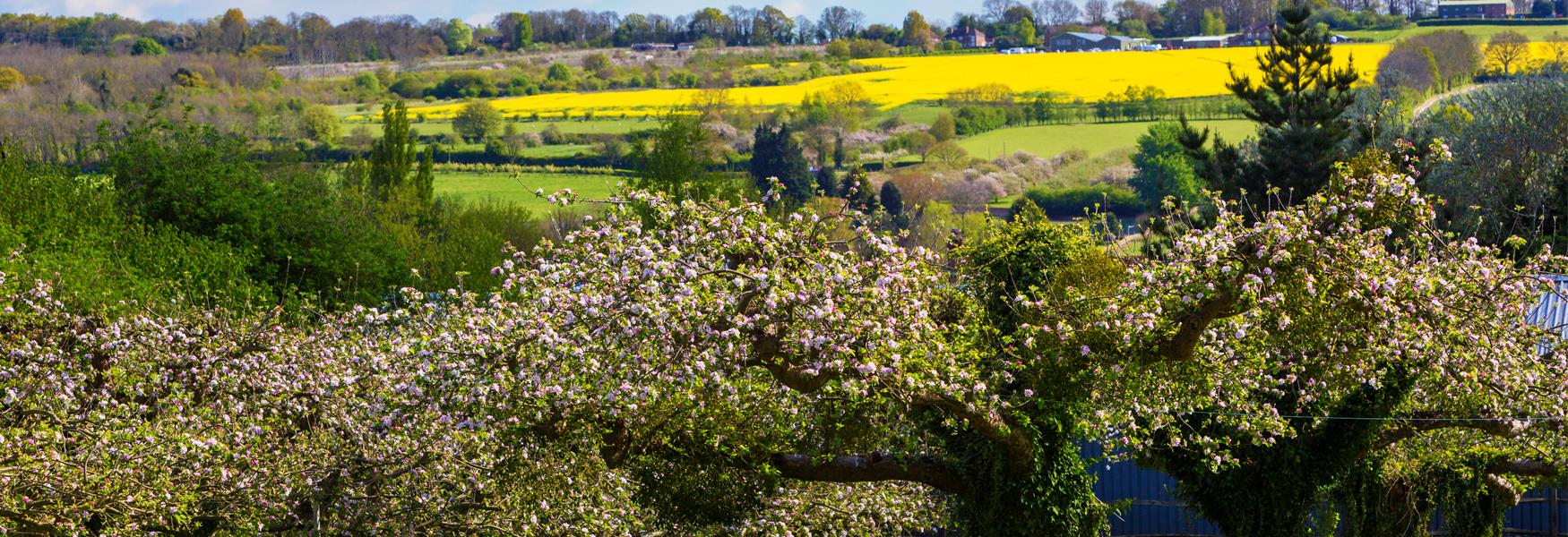 View over the Medway Valley at Teston